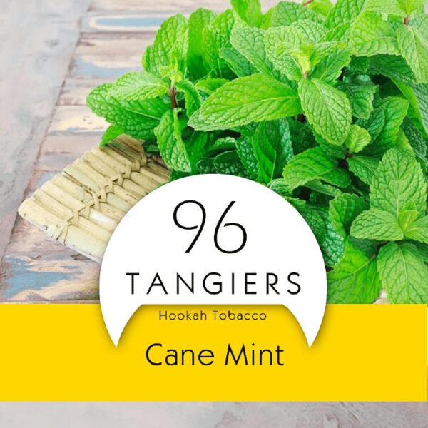 Tangiers Hookah Tobacco Noir Cane Mint 100g, Shisha Tobacco Premium